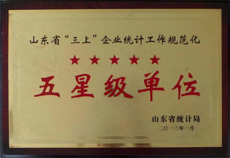 五星级单位